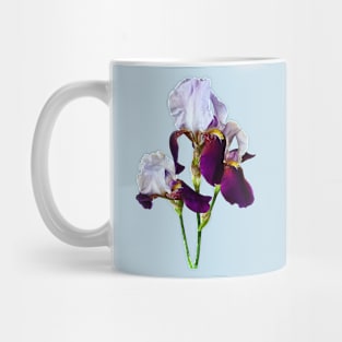 Three Irises in Shades of Magenta Mug